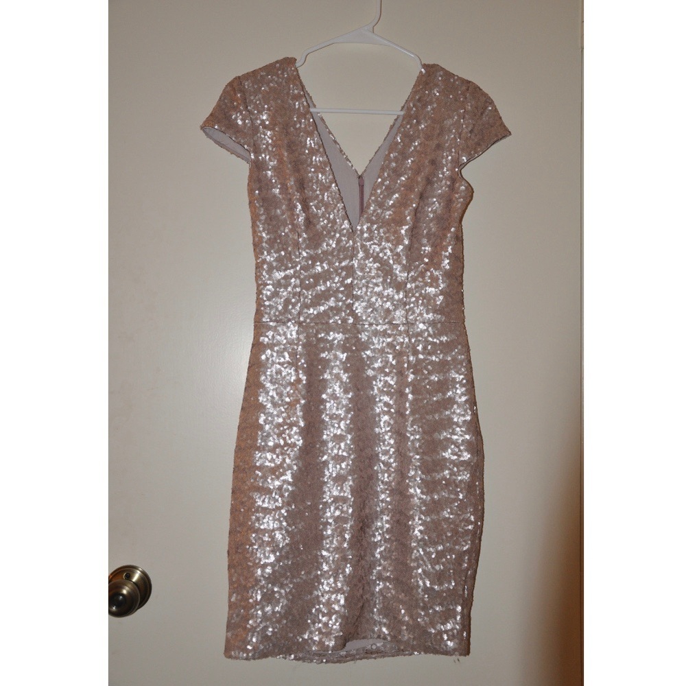 Dress the Population Sequin Dress